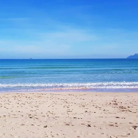 Ideal Mallorca - Pins 441